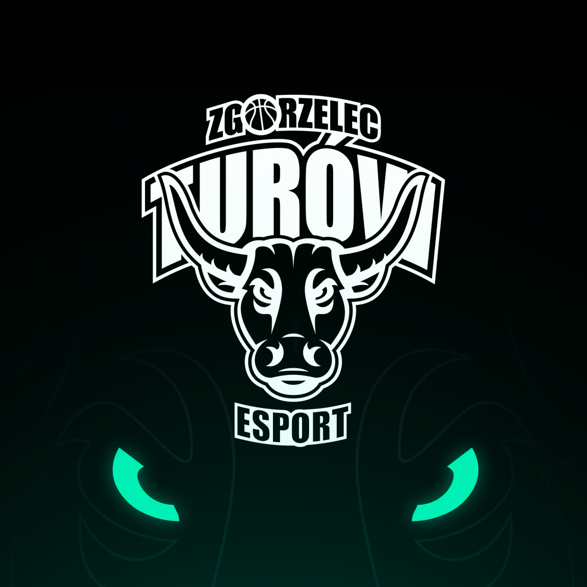 PGE Turów Zgorzelec