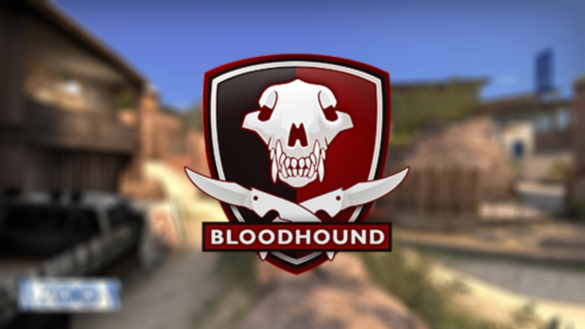 Bloodhound