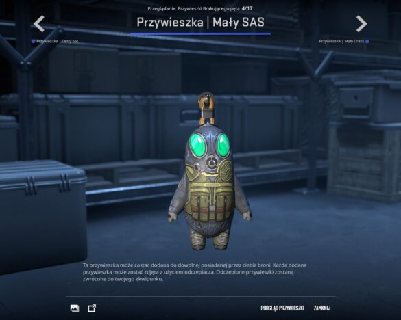 Mały SAS 20241008215933 1