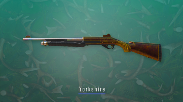 obraz_2024-10-03_120846551 obraz 2024 10 03 120846551