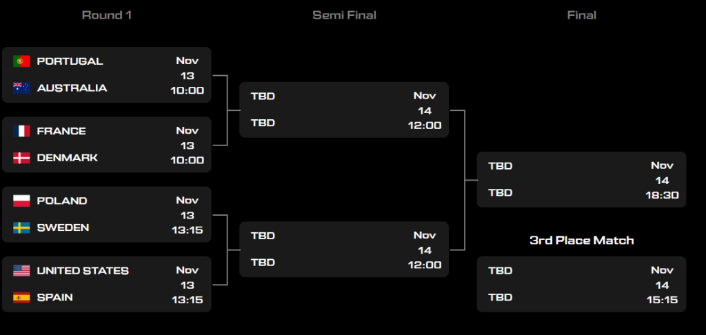 obraz 2024 11 13 041019741