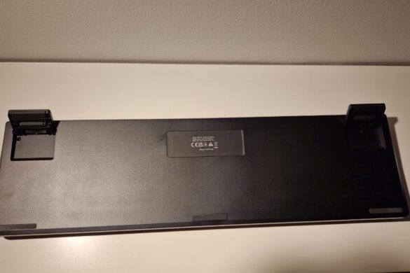 tył tyl e1736684218927