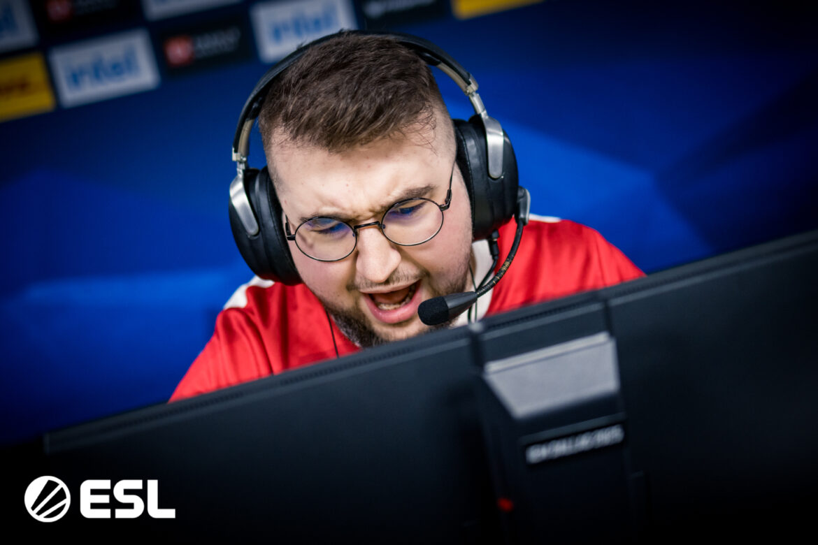 torzsi MOUZ