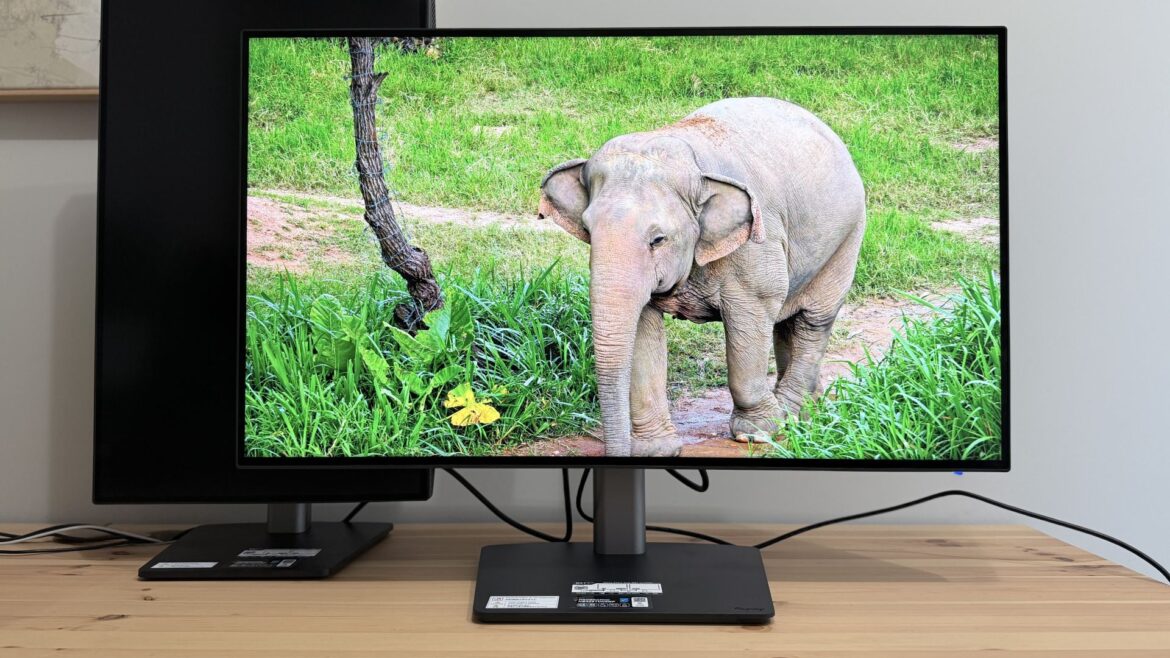 Monitor dla grafika 4
