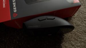 IMG 6961